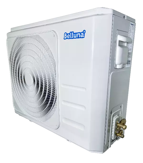 Belluna U101
